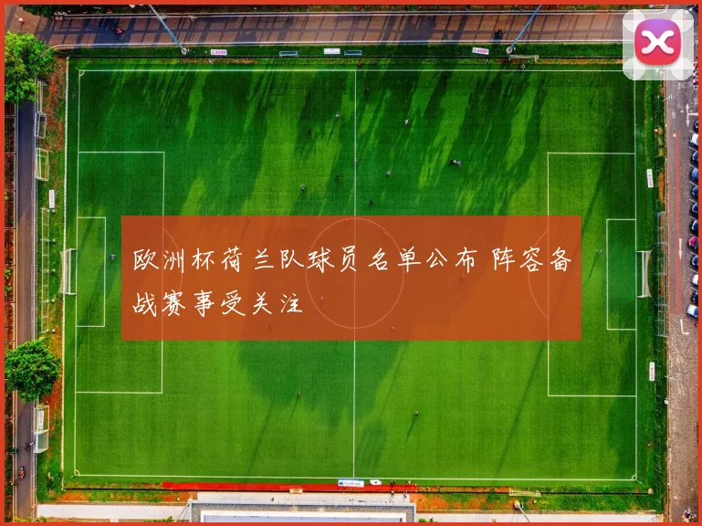欧洲杯荷兰队球员名单公布 阵容备战赛事受关注