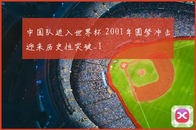 中国队进入世界杯 2001年圆梦冲击迎来历史性突破_1