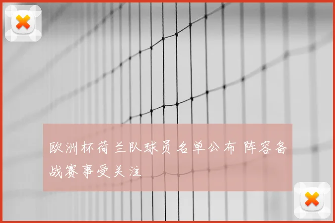 欧洲杯荷兰队球员名单公布 阵容备战赛事受关注