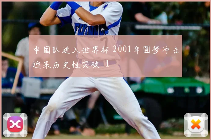 中国队进入世界杯 2001年圆梦冲击迎来历史性突破_1