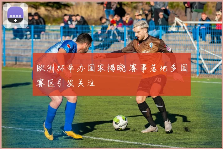 欧洲杯举办国家揭晓 赛事落地多国赛区引发关注