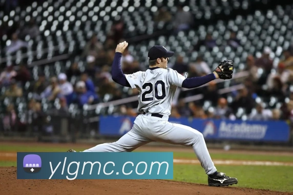 emc易倍全站网页版平台生态图